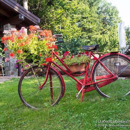 Bed and Breakfast Il Casolare Bioenergetico Albareto  Экстерьер фото