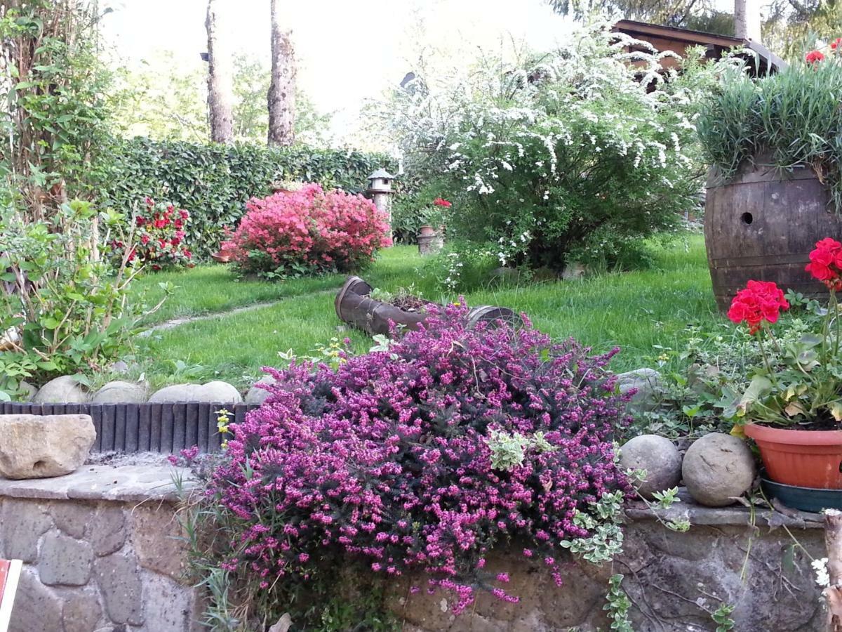 Bed and Breakfast Il Casolare Bioenergetico Albareto  Экстерьер фото